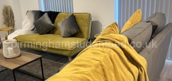 Seated Living area with Sofa bed