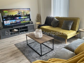 Seating area with Smart TV